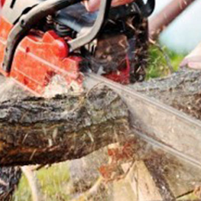 chainsaws